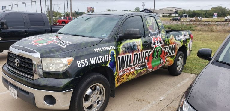 willide-central-texas-truck